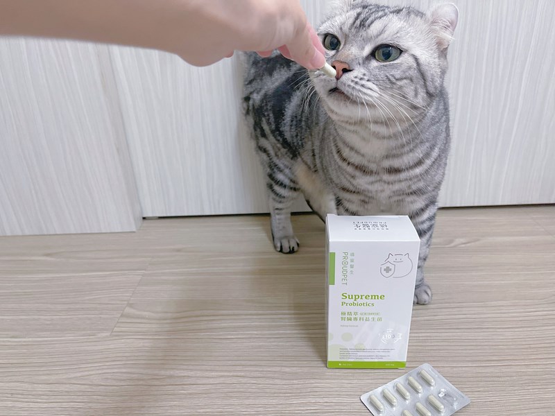 試用